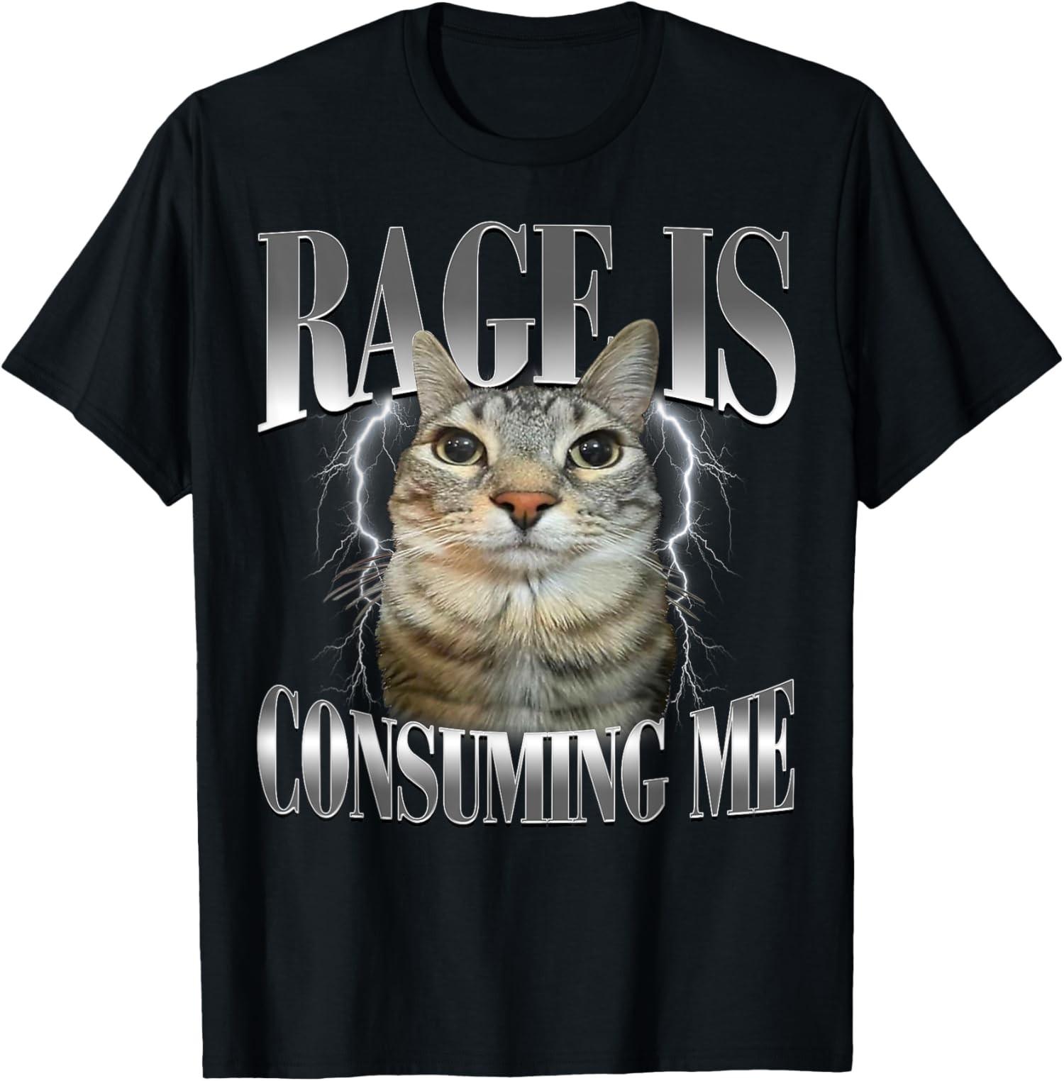 Rage Is Consuming Me Silly Staring Cat Meme Humor Fun Unisex T-Shirt S разноцветный