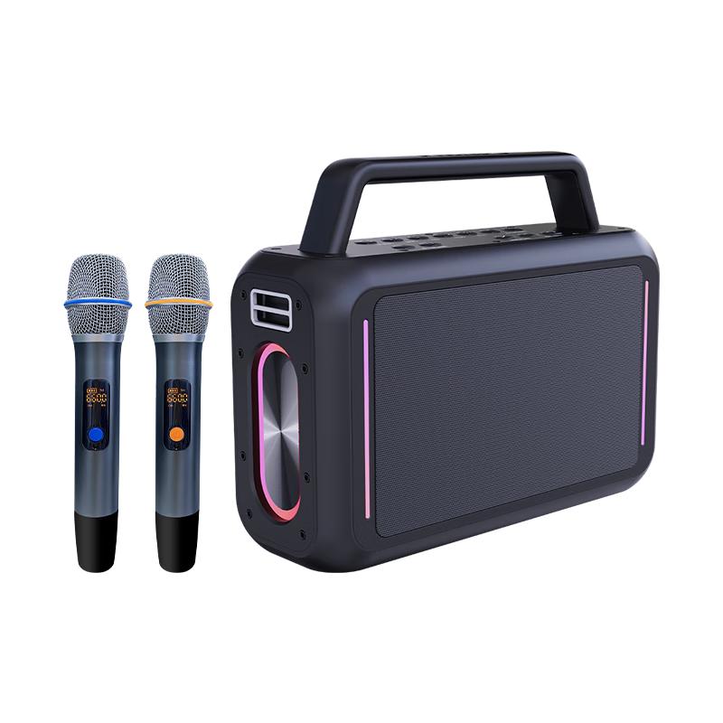 Philips SD228 Outdoor Portable K-Song Bluetooth Speaker with Dual Mics CN plug (adapter included)