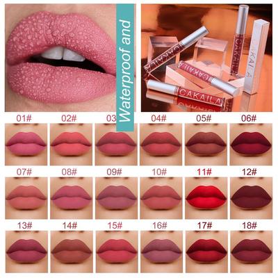 Beauty Makeup 18 Colors Long Lasting Lip Gloss Waterproof Lipstick Matte Liquid Lipstick