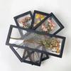 Black White Frame Storage Box Transparent Jewelry Storage Case Home Wall Decoration  Dried Flower