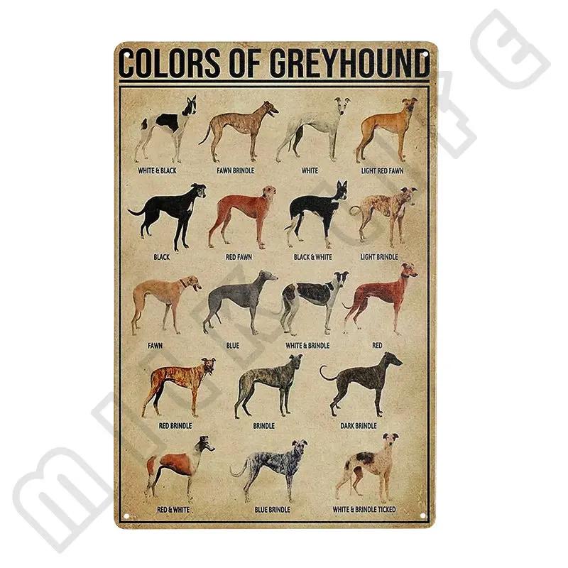 Windhund Metallschild Ich bin dein Freund Ich bin dein Windhund Poster Badezimmerzimmer Küche Garage Zuhause Kunst Wanddekoration