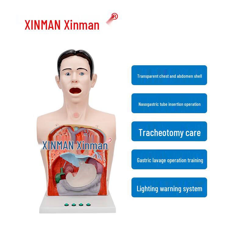 XINMAN Nasal Feeding & Gastric Lavage Transparent Training Model