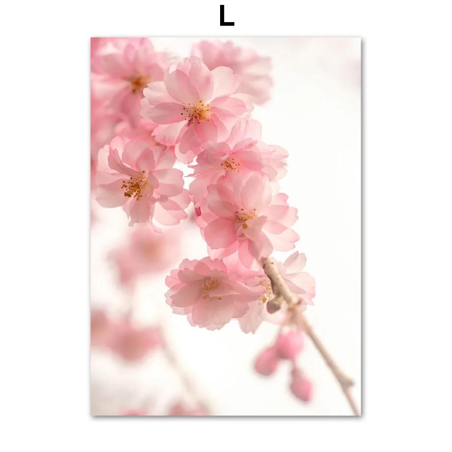 

Розовый вишневый цвет, пион, цветок орхидеи, скандинавские постеры, настенное искусство, холст, живопись и принты, настенные картины для спальни, домашний декор 21x30cm No Framed