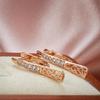 Women 585 Rose Gold Chic Earrings Natural Zircon Long Drop Earrings