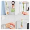 Fridge Magnet Vase Clear Glass Tube Vase with Wooden Base Magnetic Mini Vase for Flowers Herbs Refrigerator Kitchen Decor