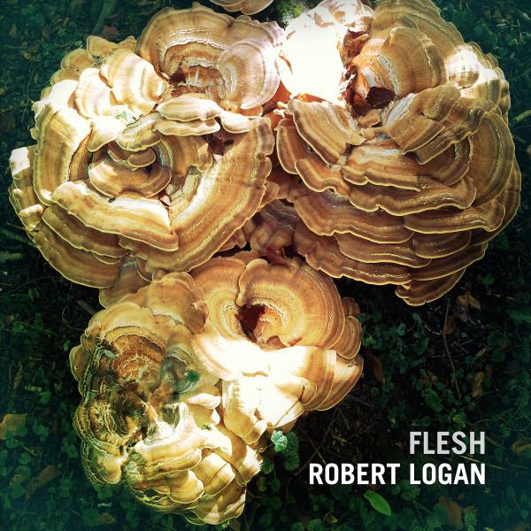 

CD ROBERT LOGAN - Flesh SLOCD026 Slowfoot Record 2015 UK Dance & Electronica Used