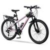 PHOENIX Cool Rider Aluminum Mountain Bike