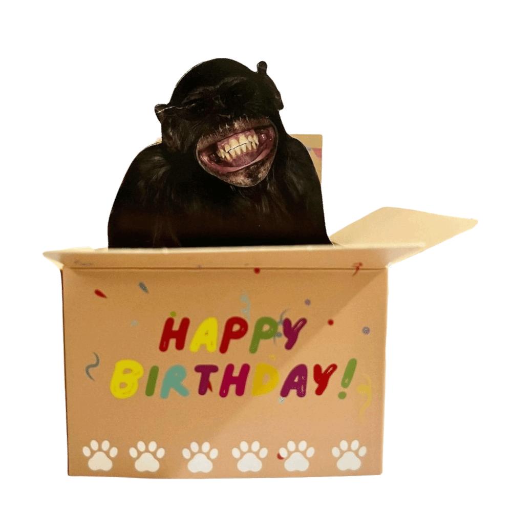 

Hilarious Paper Pop-Up Card Heart Balloons 3D Character Design Birthday Card 3D Card Gift