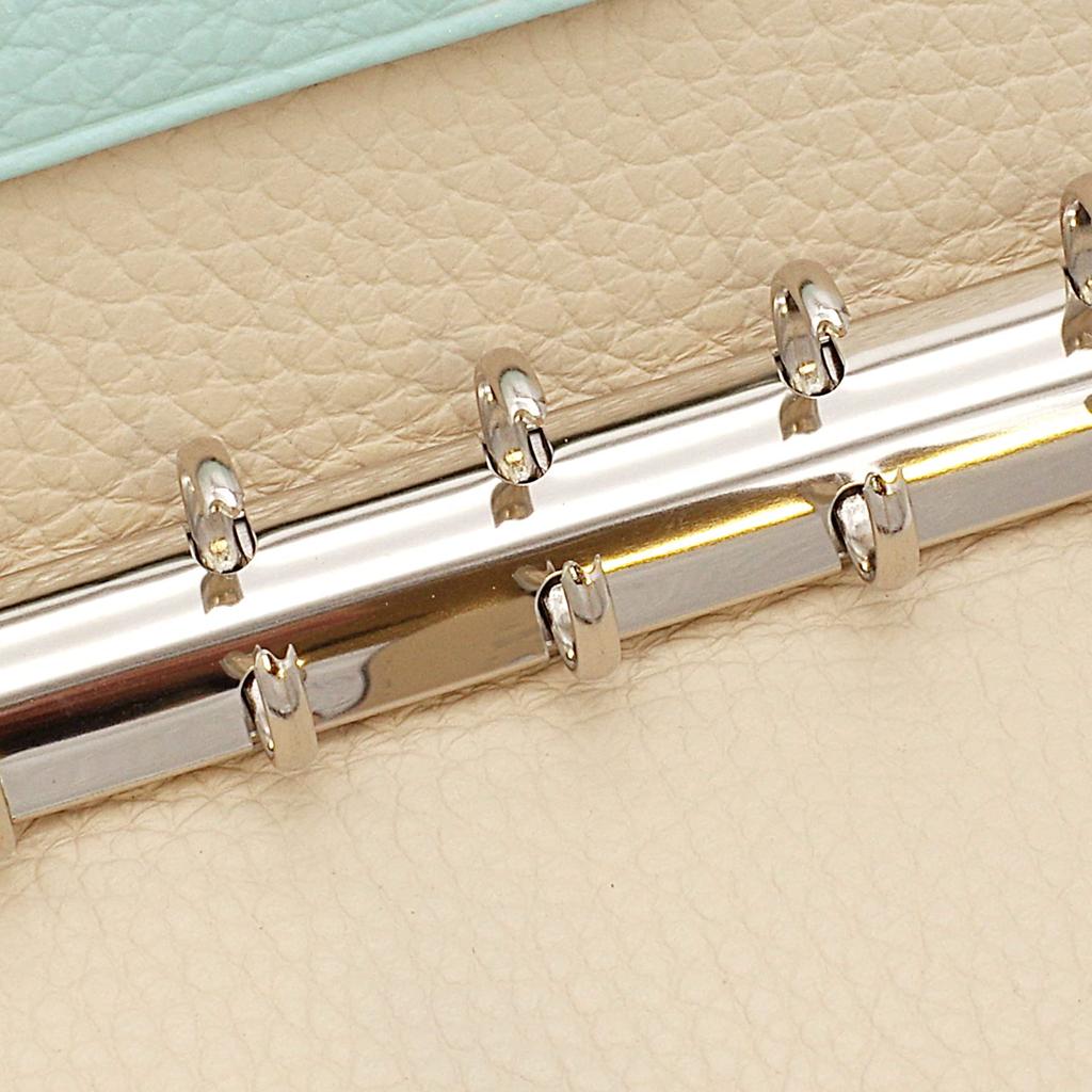 Brelio System Organizer Mini 5 Morbido 13mm Belt Aqua Gardenia 613 07