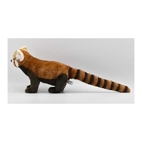 Red Panda 67 No.6309