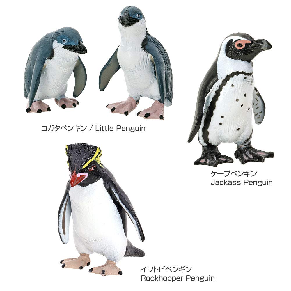COLORATA Penguin 3D Picture Book 13 Pieces Explanation Real Figure Birthday Present Gift Sanitation Law Figure Penguin Christmas Present (12 Types, /