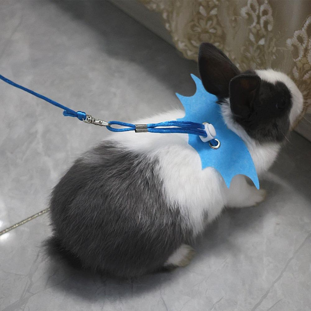 Adjustable Traction Rope Solid Color Pet Chest Strap Cute Little Rabbit Rope  Or Small Reptiles