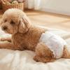 10PCS Super Absorption Dog Physiological Pants Breathable Disposable Diapers  Dog Travel