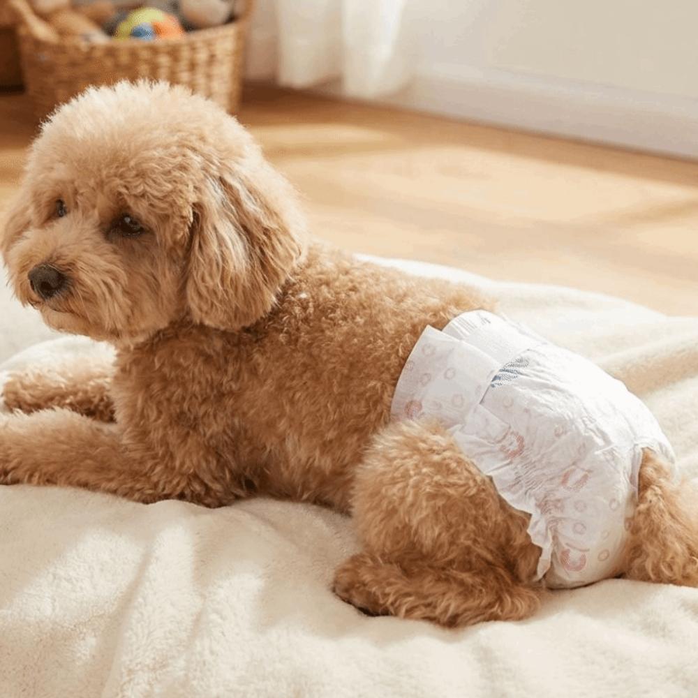 10PCS Super Absorption Dog Physiological Pants Breathable Disposable Diapers  Dog Travel