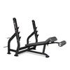 BH L855BB Commercial Decline Bench Press