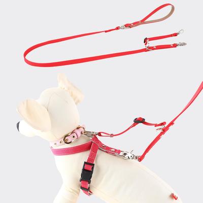 Wonder Fit Double Lead for Small and Medium Dog Dog Collar Shop Teruberu Anti-Slip Dogs, Lead, (Red)