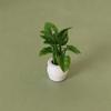 1Pc Casa de Bonecas Mini Modelo de Planta Mini Planta Verde Vaso de Flores Paisagem Ao Ar Livre Canteiro de Flores
