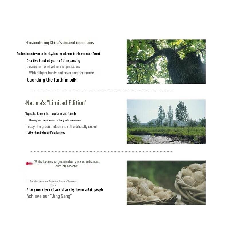 Mercury Home Textiles Embroidered Organic Tussah Silk All-Season Quilt