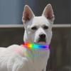 Coleira e Guia LED Mágica Luminosa para Cães e Gatos 2025: Presente de Segurança Noturna para Pet