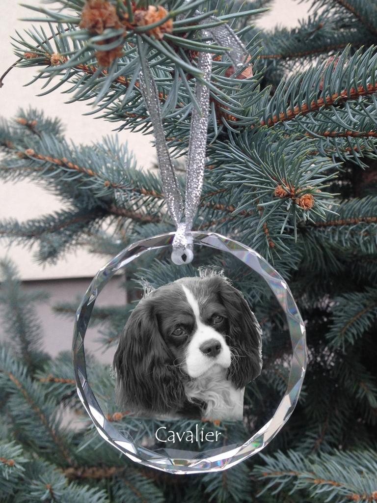Cavalier King Charles Spaniel – Crystal bauble with a photo, dog photo in crystal | Art-Dog