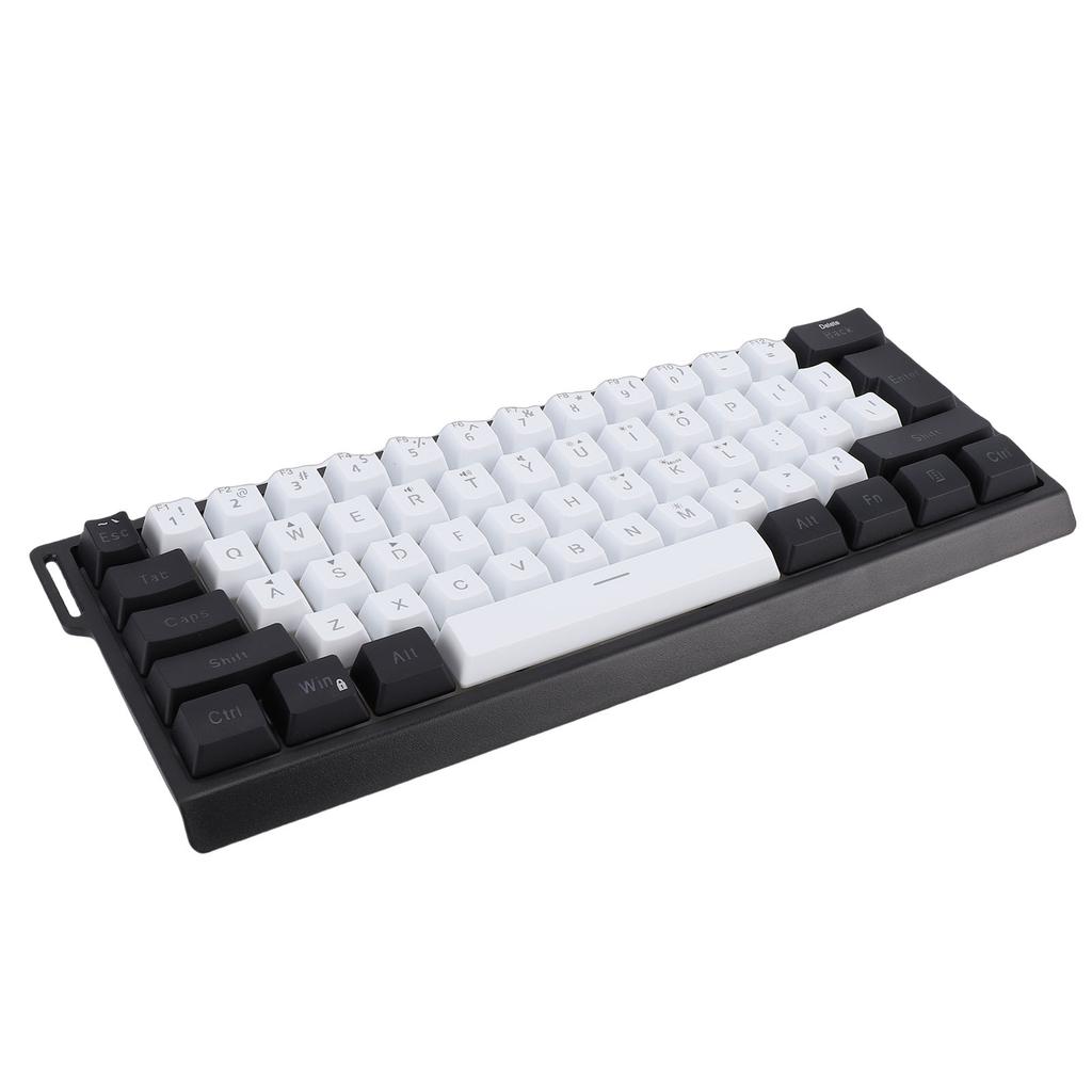 Wired Keyboard 60 Percent 61 Keys RGB Backlit Mechanical Feel Portable Computer Keyboard for Gaming Work