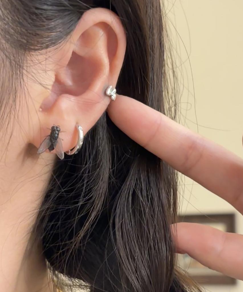 Dederit Peculiar Funny Insect Bug Fly Dung Fly Earring