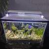 Rete Magnetica Anti-Salto per Acquario Fai da Te Facile Installazione Tagliabile Coperchio per Acquario di Dimensioni Personalizzate