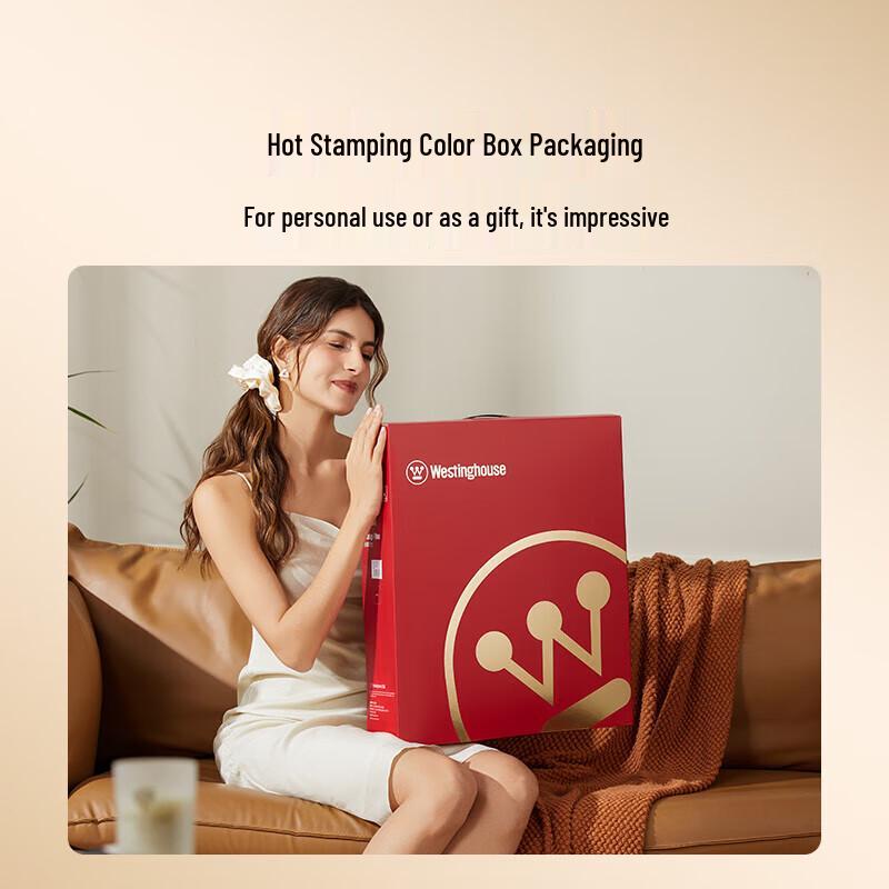 Westinghouse BX6 Lumbar and Back Massager