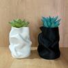 Irregular Art Vase Hydroponic Vase Desktop Ornament Plastic Flower Pot Home Garden Decoration