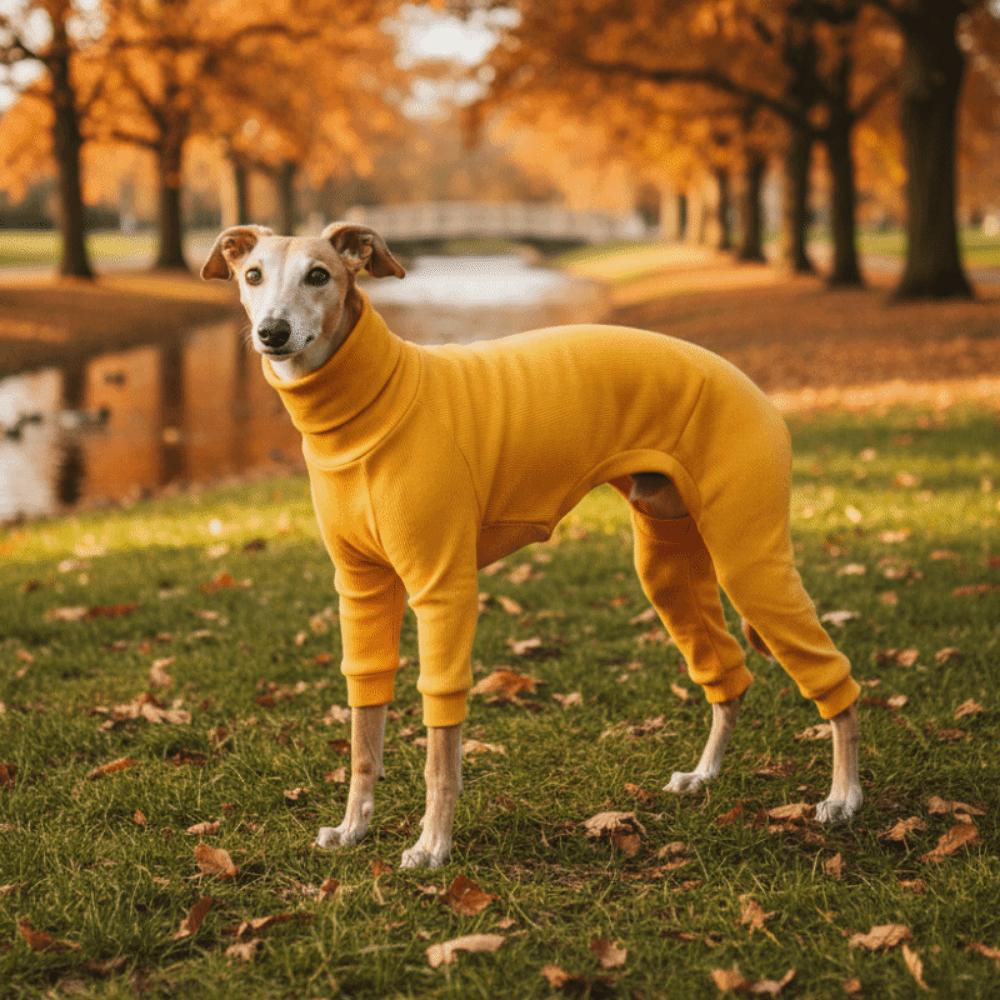Warm Dog Jumpsuit Soft Dog Four Legged Clothes Casual Style Pet Pajamas  Indoor Wear