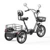 Cysum T1Pro Electric Cargo Tricycle 350W 48V22Ah E-Bike 16 Inch Tire Adults 3wheel Electric Bike With Removable Basket Electric Bicycle