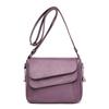 Bag women's 2024 new Korean version of the trend oblique span bag ins middle-aged and elderly mother bag minibags satchel