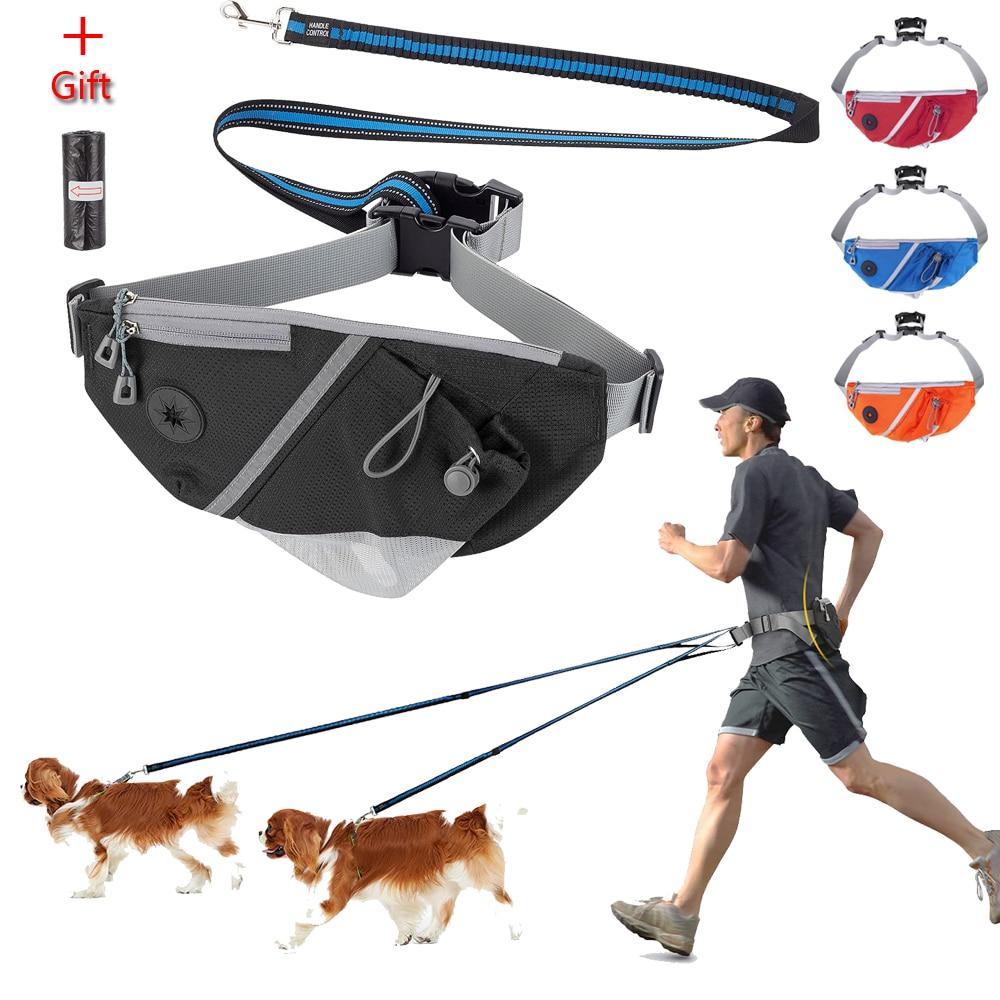 backpack for dog walking