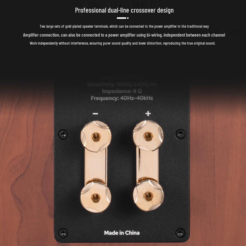 HiVi Bach Passive HiFi Bookshelf Speakers with Diva Stands CN Plug (adapter Included)