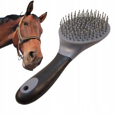 Reitsport – Pflegeprodukte für Pferde