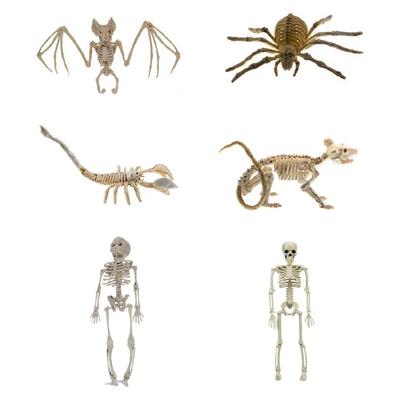 Halloweenowy Szkielet Plastyczny z Ruchomymi Stawami do Dekoracji Cmentarza, Domu Strachów, Wewnątrz i na Zewnątrz