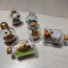 [USED] Pikmin Terrarium