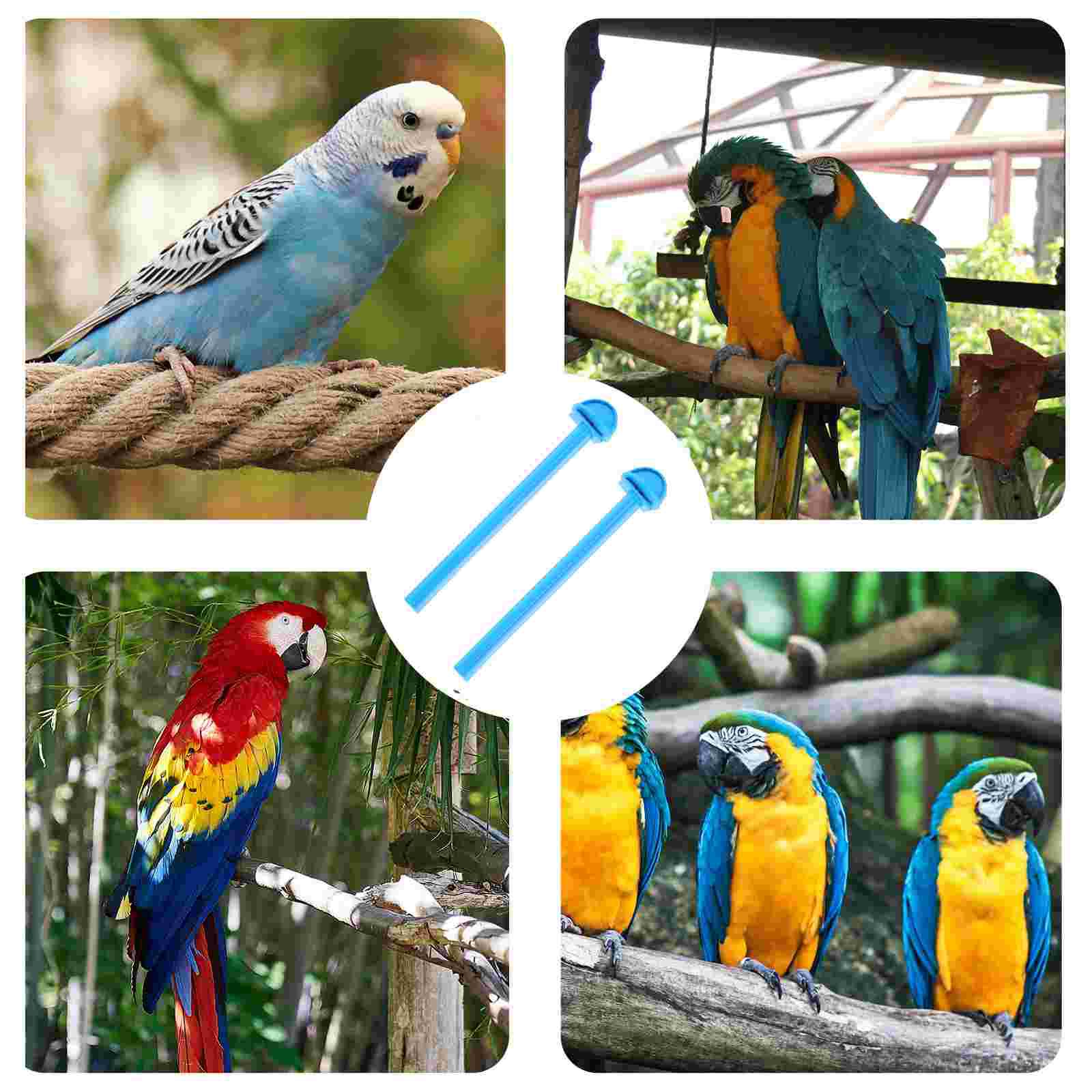 

10 Pcs Bird Perch Standing Sticks Parrot Stick Stand Pole Parrot Perch Stands 16X3X3CM светло-зеленый