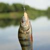 50Pcs Metal Spinner Fishing Lures Baits Spoon Swivels Tails Spinner Fishing Spinner Fishing Lures Baits Spoon Easy to Use