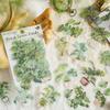Momo PET White Ink Green Plant Sticker Pack: 30 Sheets, 6 Designs for Journal DIY Decoration