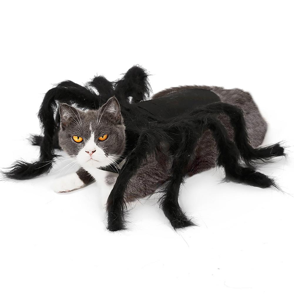 Kjæledyr Edderkoppkostyme Halloween Kjæledyr Edderkoppklær Hund Katt Skrekk Simulering Plysj Edderkopper Kle Seg Ut