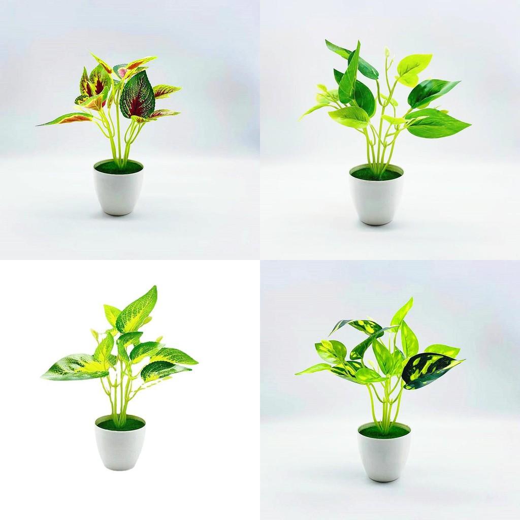 Epipremnum Artificial Aureum Perilla Frutescens Potted Plant For Decor Indoor