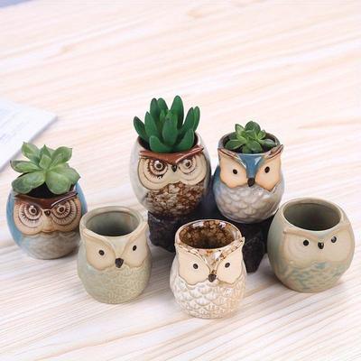 1Pc Persönlichkeit Sukkulenten Blumentopf Eule Tier Kleine Blume Topf Kreative Nette Daumen Topf Keramik Loch