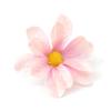 10Pcs 6cm Peony Silk Artificial Flowers Heads Craft Bridal Wreath Gift Accessories for Home Room Decoration DIY Wedding Decor