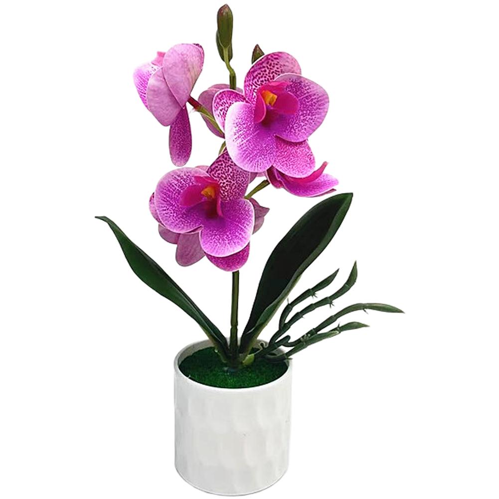 

Realistic Plastic Phalaenopsis Artificial Flower Bonsai for Living Room Bedroom Desk Decor Compact Tabletop Size 26cm