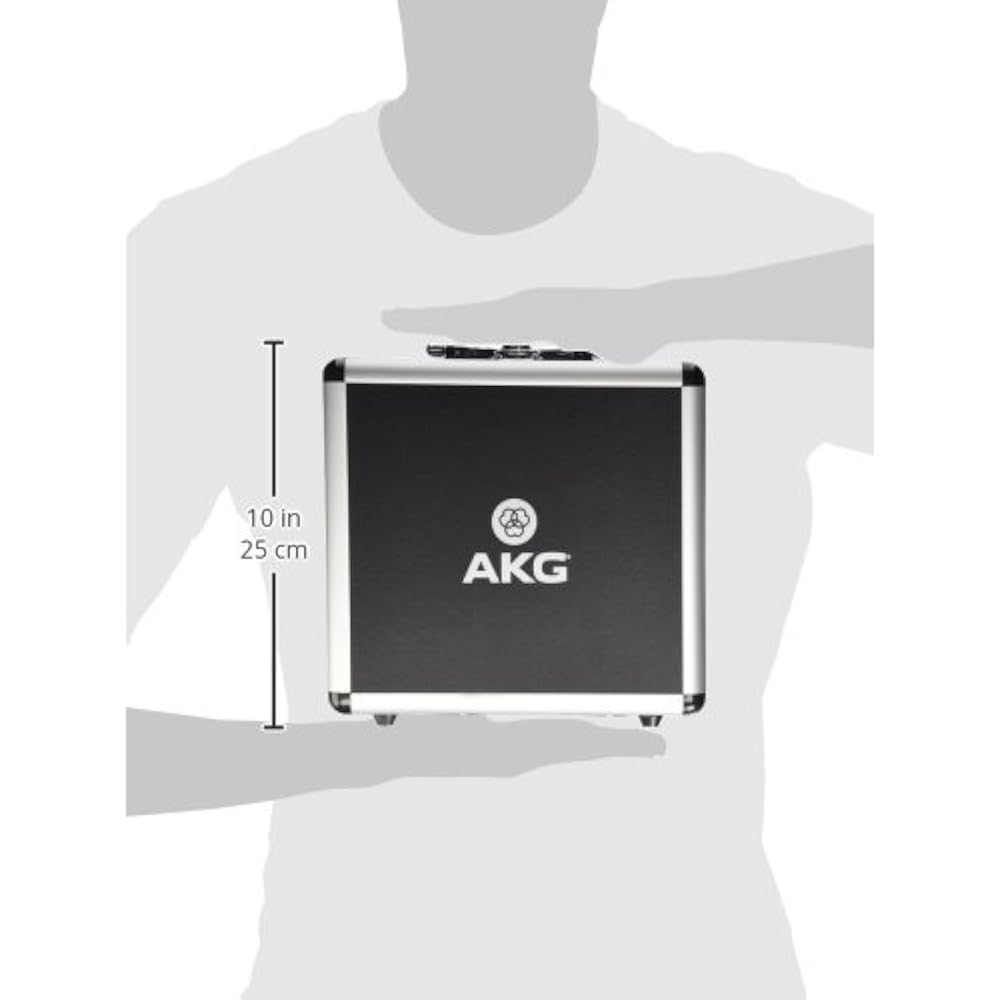 AKG (Arker Game) P220 Project Studio Line [Ideal for Vocal/piano/wind Instrument Recording, Durab...