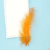 50Pcs Factory Custom Macaron Feathers Colored Pointed Tail Fleece Turkey Feather Dream Catcher Decorative Material Bobo Ball Gift Box Filling