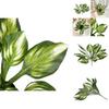 Kunstmatige Viola Japonica Var. Stenopetala bladplant decoratie voor wandtuin simulatie groen