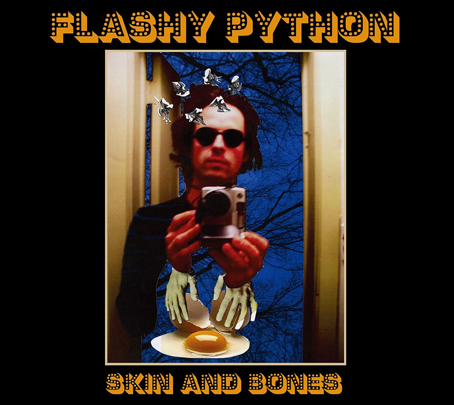 

CD FLASHY PYTHON - Skin And Bones YRCG90032 Yoshimoto R and 2010 Japan Jazz Used