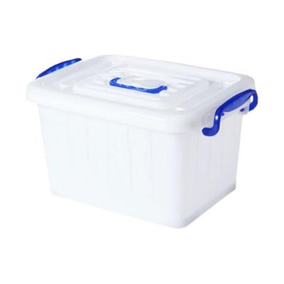 Food-Grade Fruit & Vegetable Storage Box